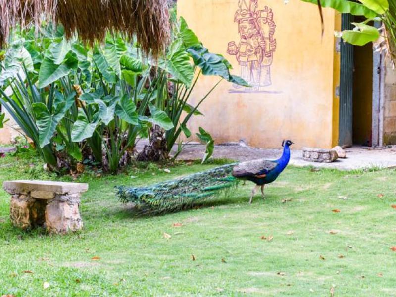 Cargando galería